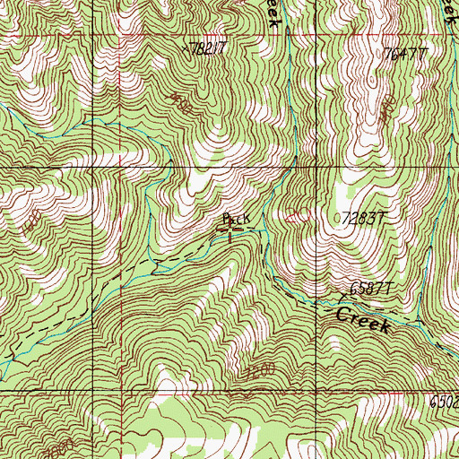 Topographic Map of Needle Creek, MT