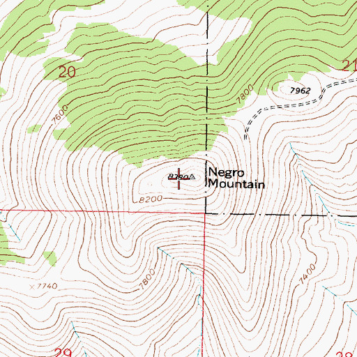Topographic Map of Negro Mountain, MT