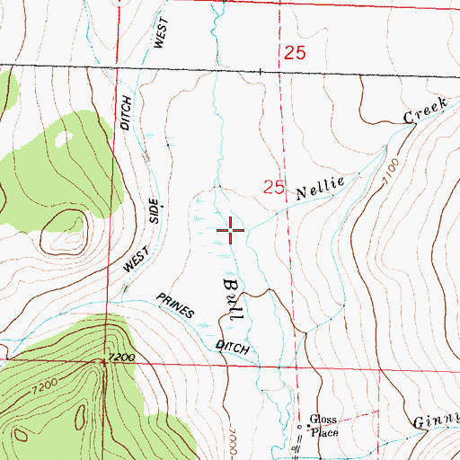 Topographic Map of Nellie Creek, MT