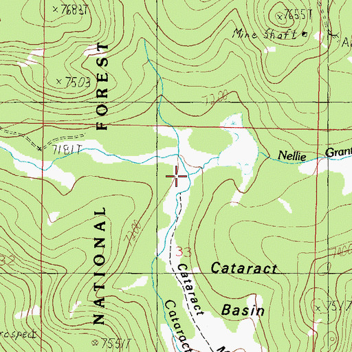 Topographic Map of Nellie Grant Creek, MT