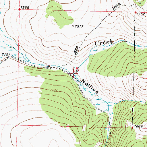 Topographic Map of Nellies Gulch, MT