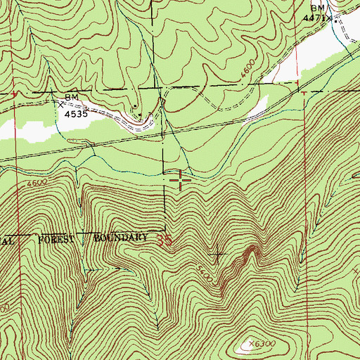Topographic Map of Nelson Creek, MT