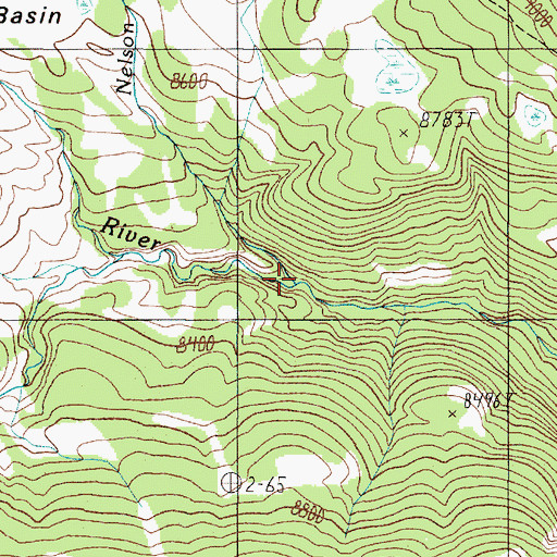 Topographic Map of Nelson Creek, MT