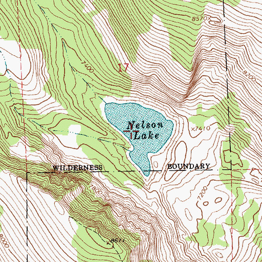 Topographic Map of Nelson Lake, MT