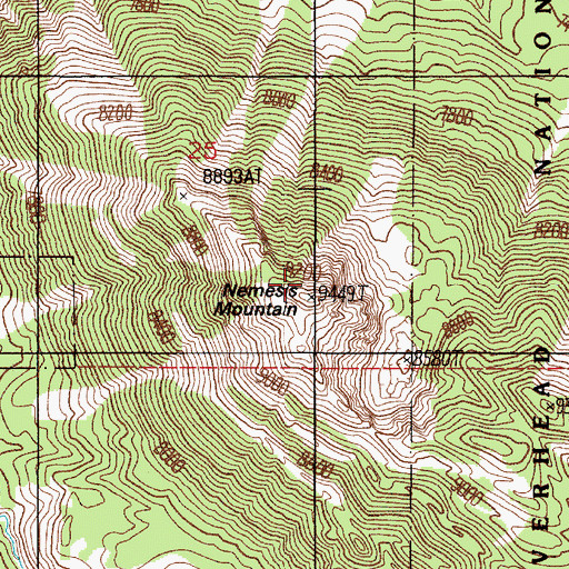 Topographic Map of Nemesis Mountain, MT