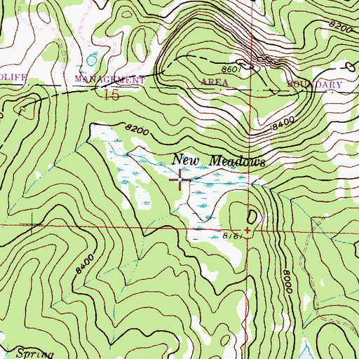 Topographic Map of New Meadows, MT