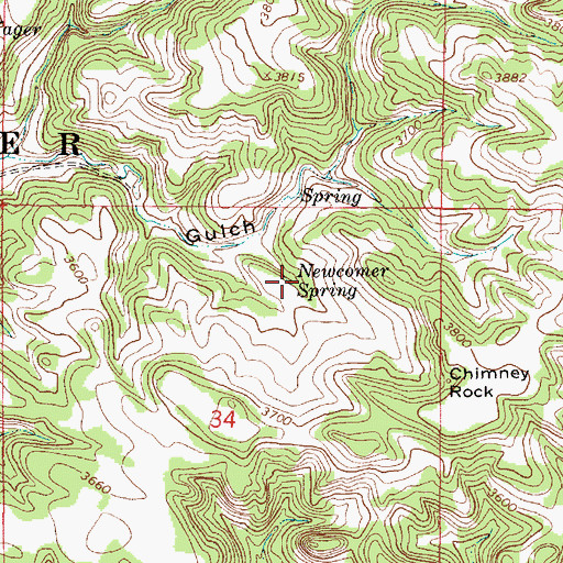 Topographic Map of Newcomer Spring, MT