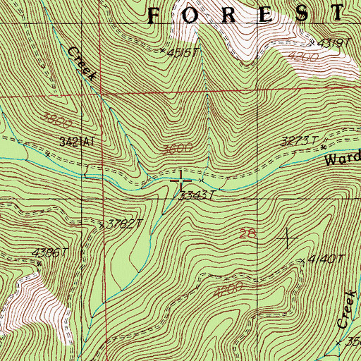 Topographic Map of Newman Creek, MT