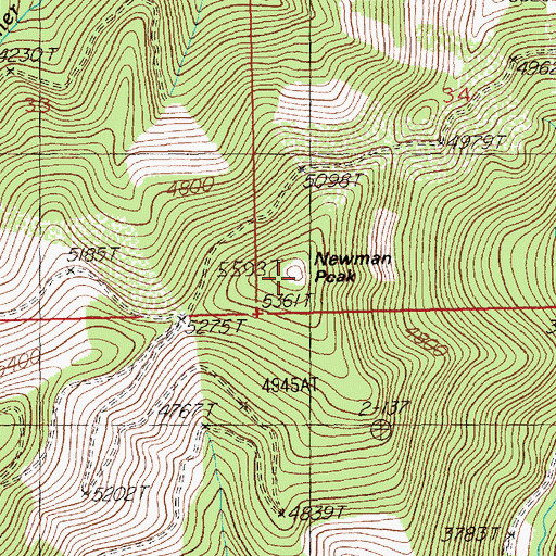 Topographic Map of Newman Peak, MT