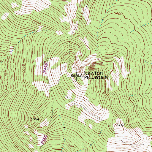 Topographic Map of Newton Mountain, MT