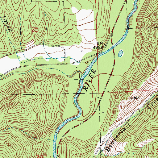 Topographic Map of Nez Perce Fork, MT