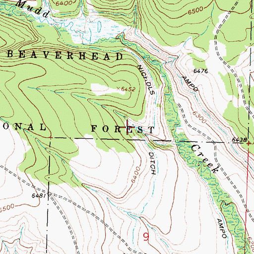 Topographic Map of Nichols Ditch, MT