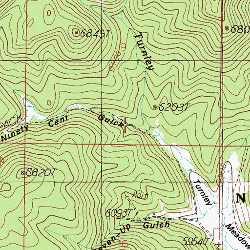 Topographic Map of Ninety Cent Gulch, MT