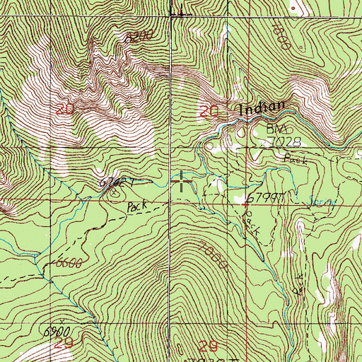 Topographic Map of No Man Creek, MT