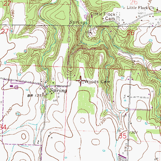 Topographic Map of Woods Cemetery, AR
