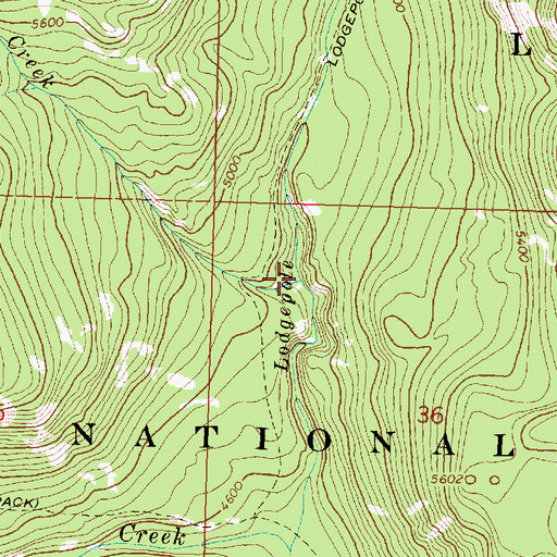 Topographic Map of Nome Creek, MT