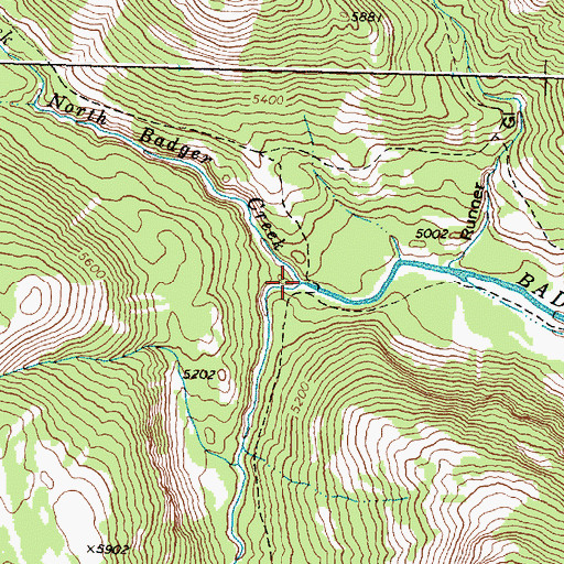 Topographic Map of North Badger Creek, MT