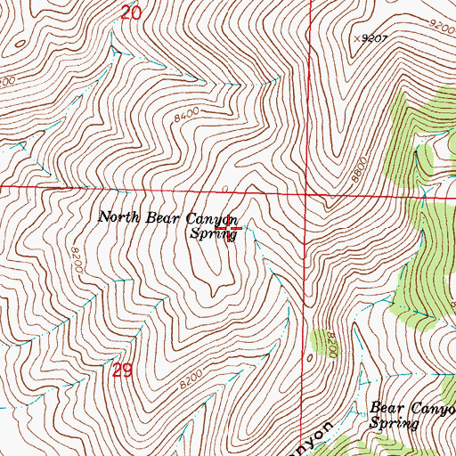 Topographic Map of North Bear Canyon Spring, MT