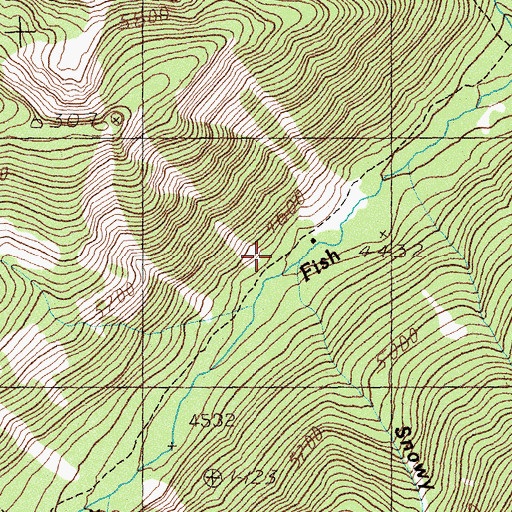 Topographic Map of North Fork Cabin, MT