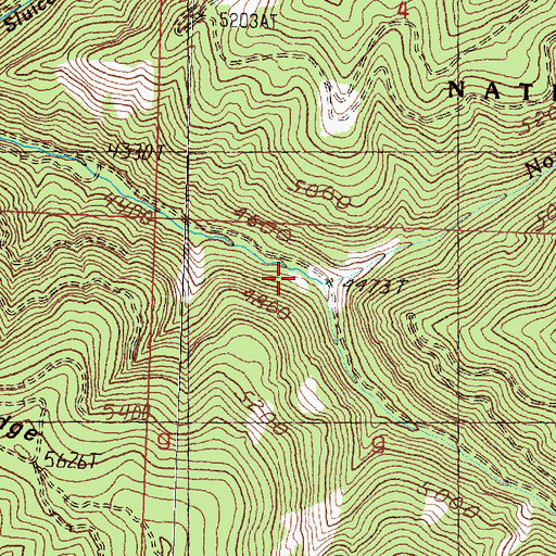 Topographic Map of North Fork Eightmile Creek, MT