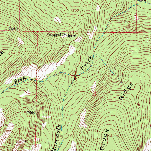 Topographic Map of North Fork Mammoth Creek, MT