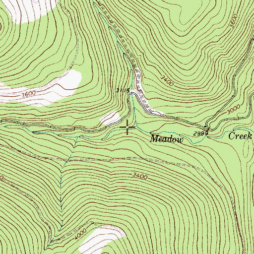 Topographic Map of North Fork Meadow Creek, MT