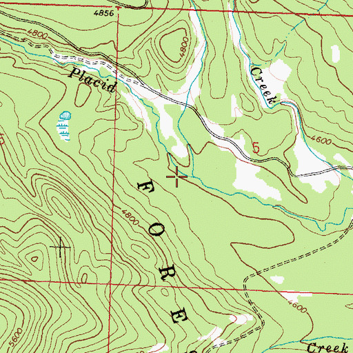 Topographic Map of North Fork Placid Creek, MT