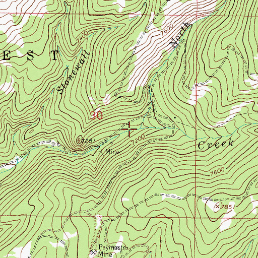Topographic Map of North Fork Ramshorn Creek, MT