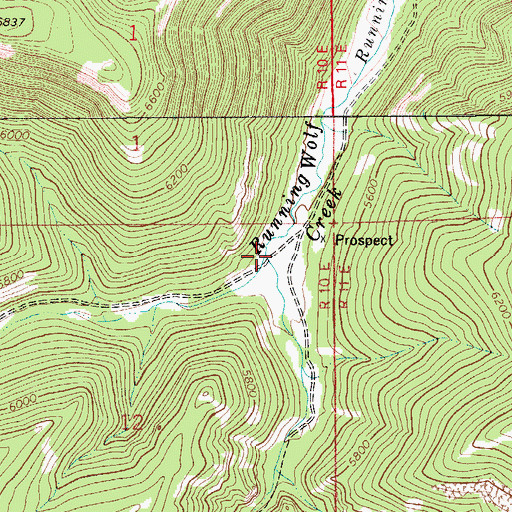 Topographic Map of North Fork Running Wolf Creek, MT