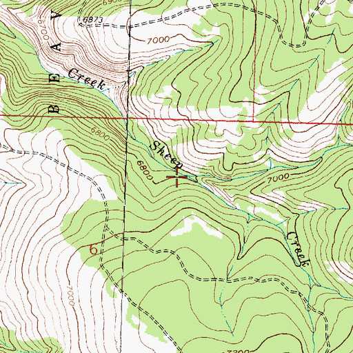 Topographic Map of North Fork Sheep Creek, MT