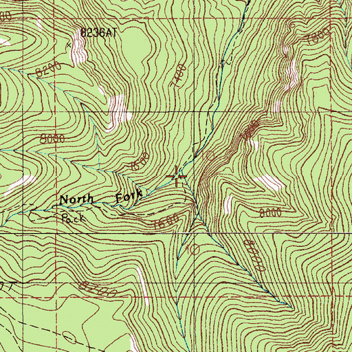 Topographic Map of North Fork Trail Creek, MT