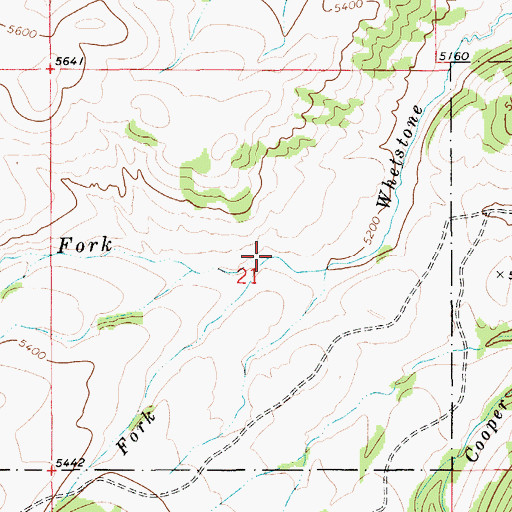 Topographic Map of North Fork Whetstone Creek, MT
