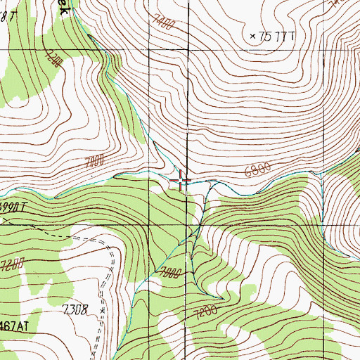 Topographic Map of North Fork Wigwam Creek, MT