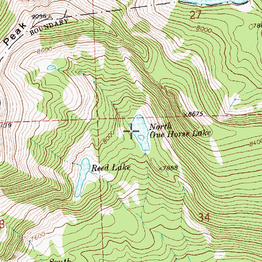 Topographic Map of North One Horse Lake, MT
