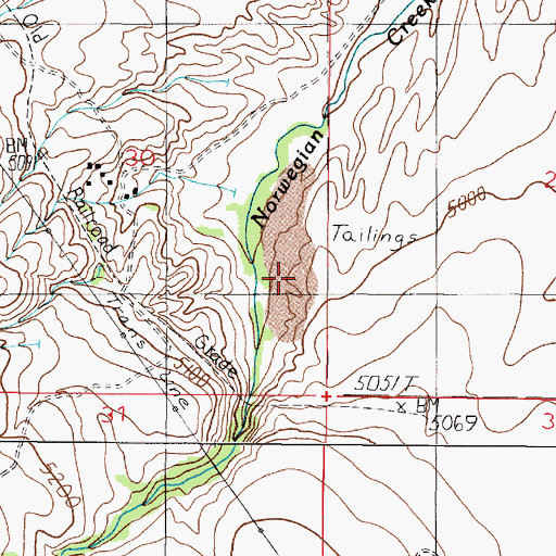 Topographic Map of Norwegian Placer Gulch, MT