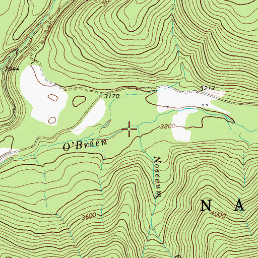 Topographic Map of Noseeum Creek, MT