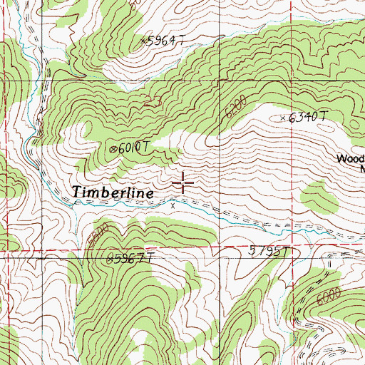 Topographic Map of Number Four Mine, MT
