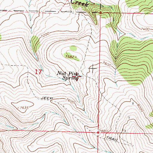 Topographic Map of Nut Pine Spring, MT