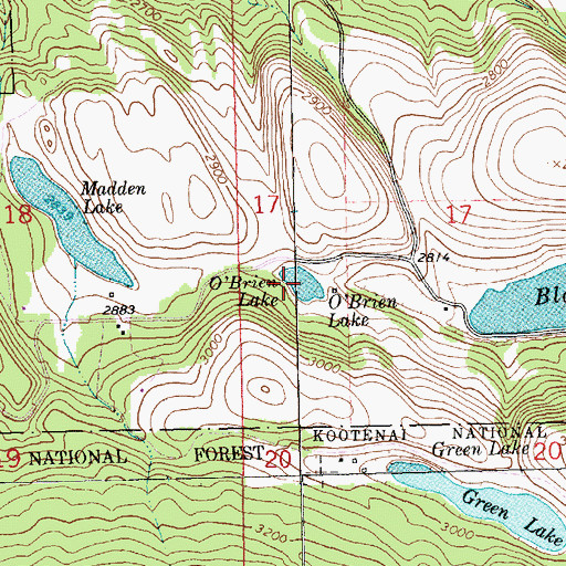 Topographic Map of O'Brien Lake, MT