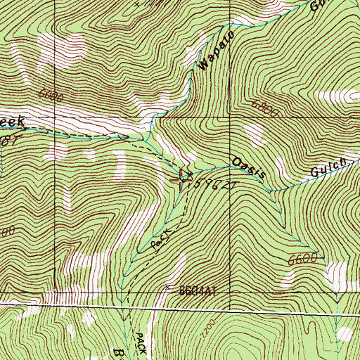Topographic Map of Oasis Gulch, MT