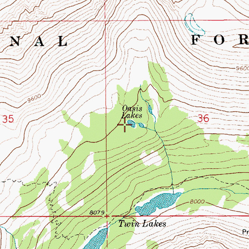 Topographic Map of Oasis Lakes, MT