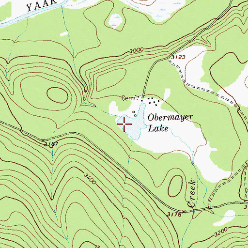 Topographic Map of Obermayer Lake, MT