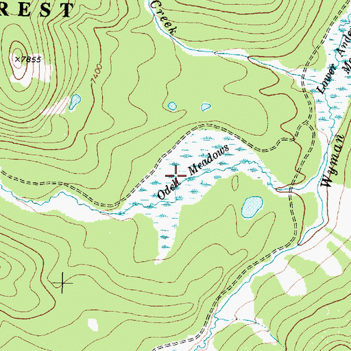 Topographic Map of Odell Meadows, MT