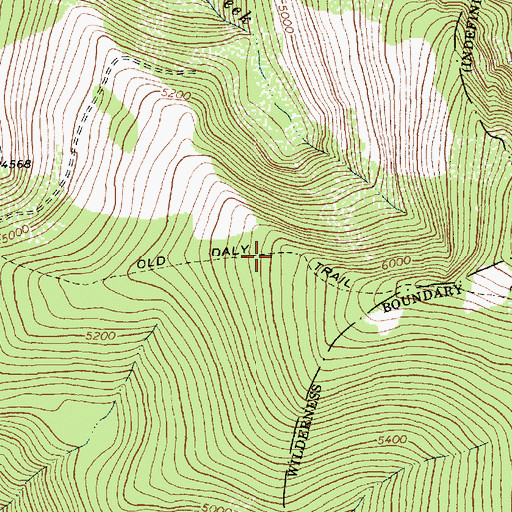Topographic Map of Old Daly Trail, MT