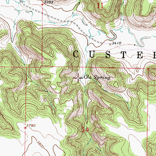 Topographic Map of Ole Spring, MT