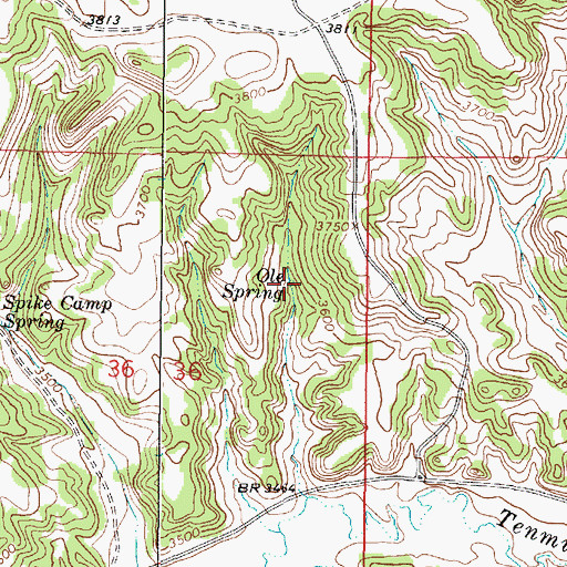 Topographic Map of Ole Spring, MT