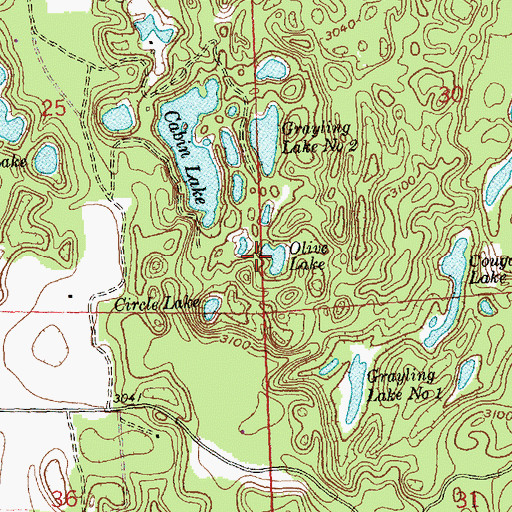 Topographic Map of Olive Lake, MT