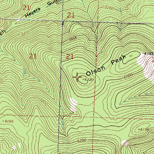 Topographic Map of Olson Peak, MT