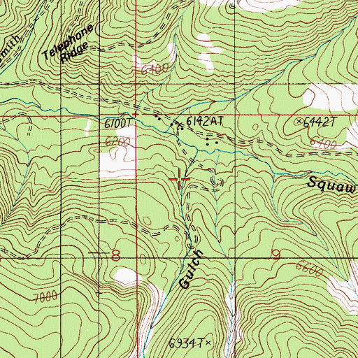 Topographic Map of Orchid Gulch, MT