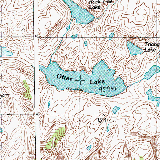 Topographic Map of Otter Lake, MT